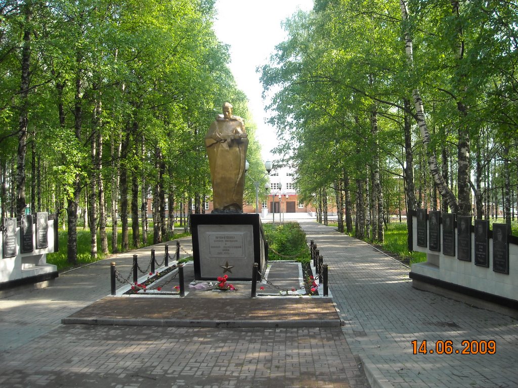 Памятник солдату, Вожега