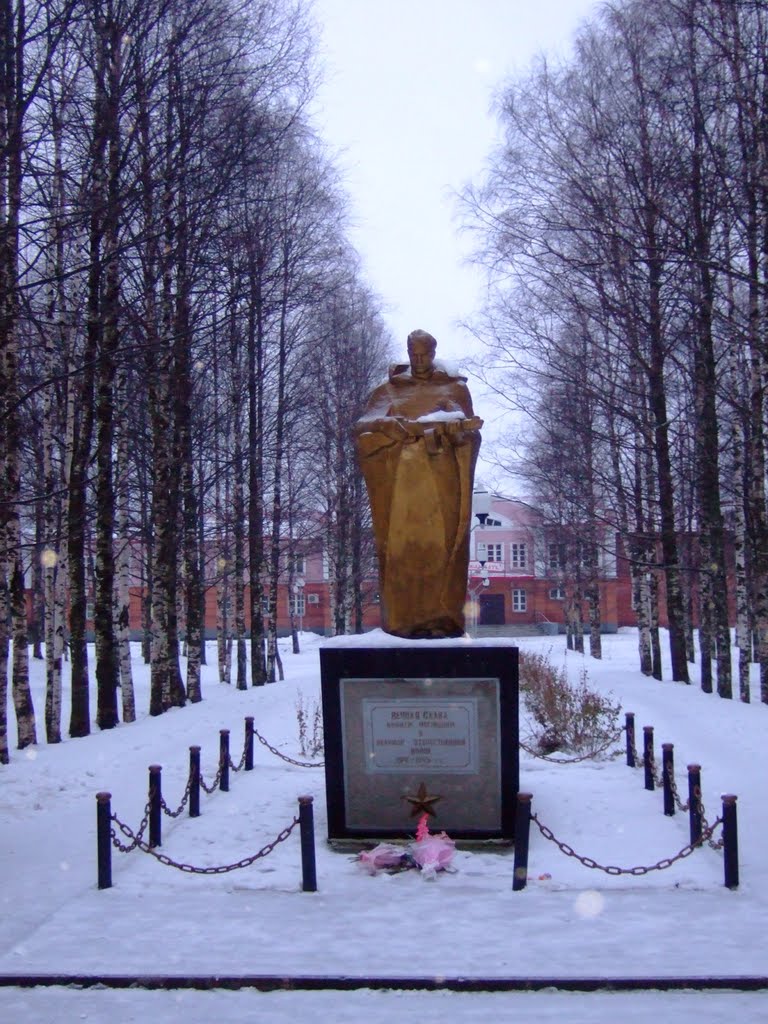 Памятник. The monument, Вожега