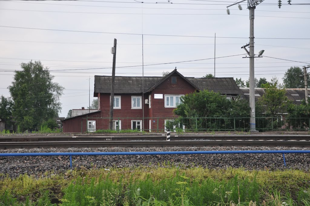 Станция Вохтога-2, поселок Вохтога, Вологодская область, Россия, Вохтога