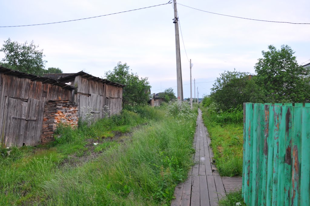 поселок Вохтога, Вологодская область, Россия, Вохтога