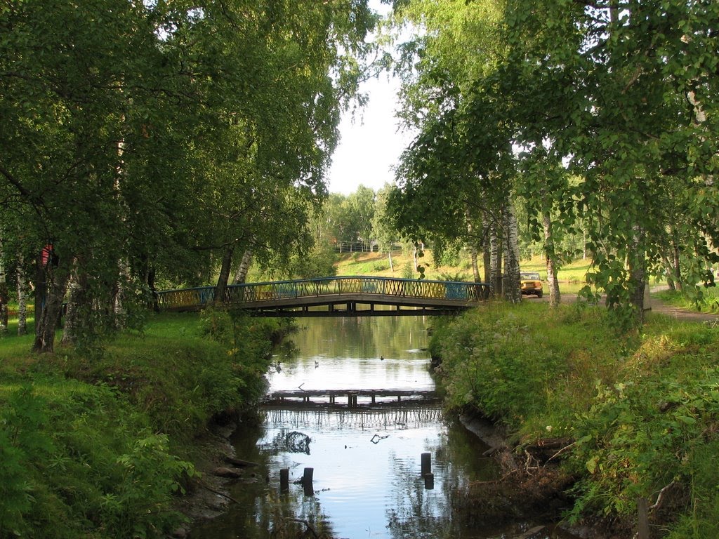The bridge across the old river bed / Мостик через протоку, Вытегра