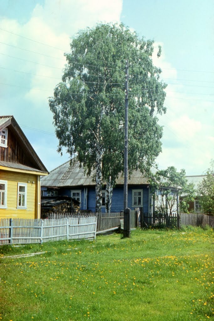 1986. House under the old birches. Vytegra / Вытегра. Дом под старыми берёзами. 1986 год., Вытегра