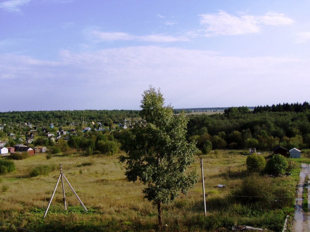 Вид на деревню Дворец и сады, Грязовец