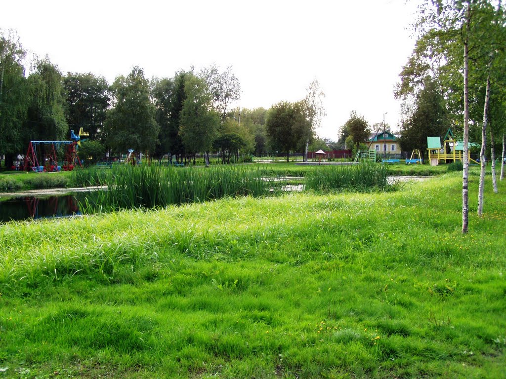 "Святой пруд" в парке, Грязовец