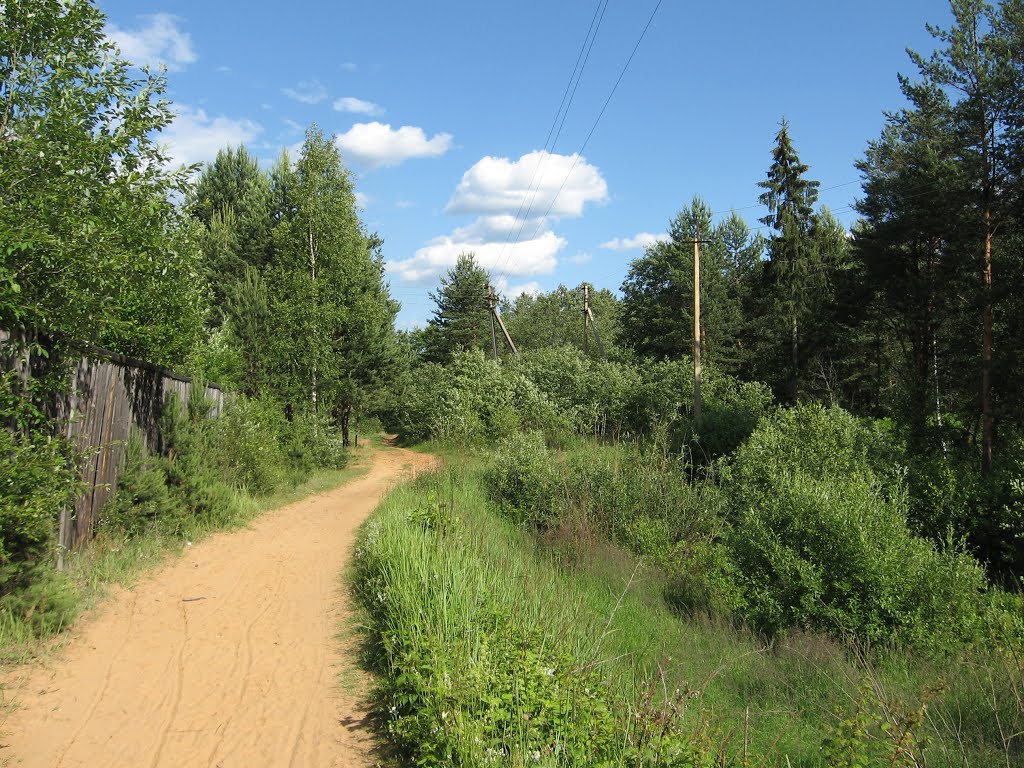 Вологодская область кадуйский район деревня холмище фото Вологодская область кадуйский район деревня холмище фото