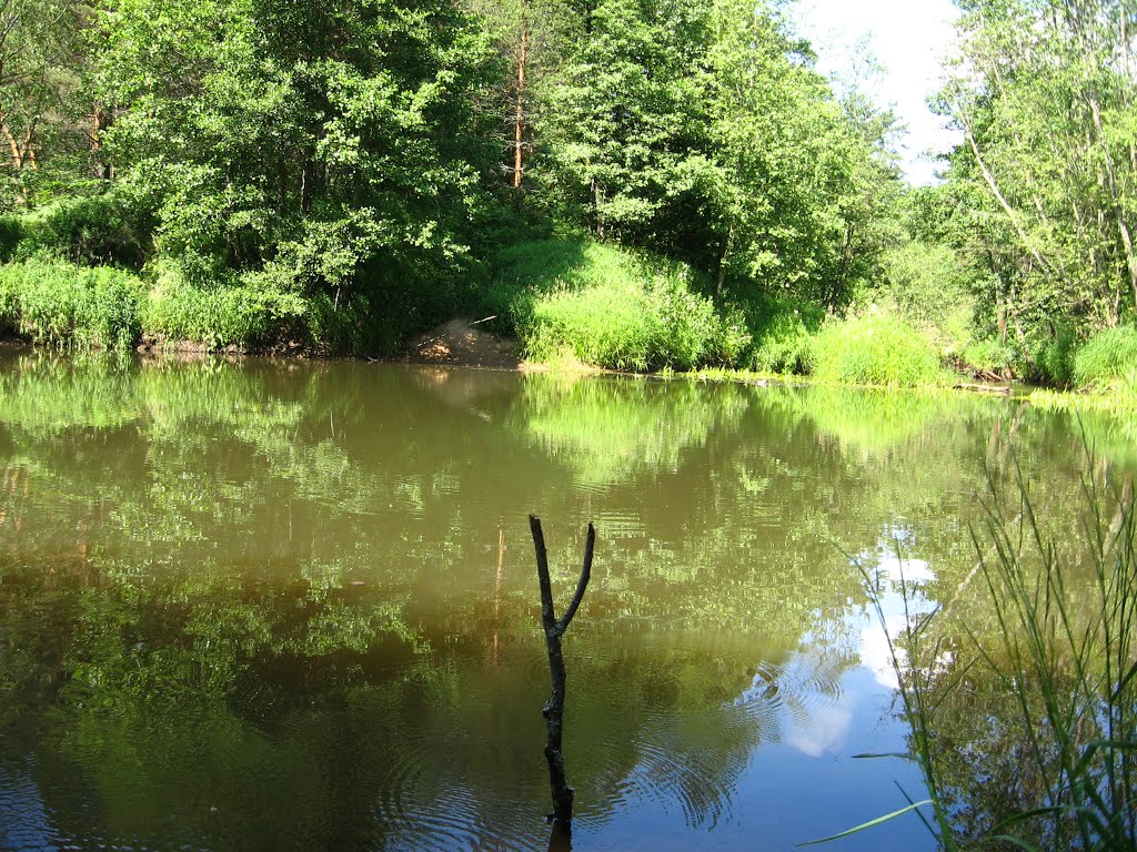 The River Voron, Кадуй