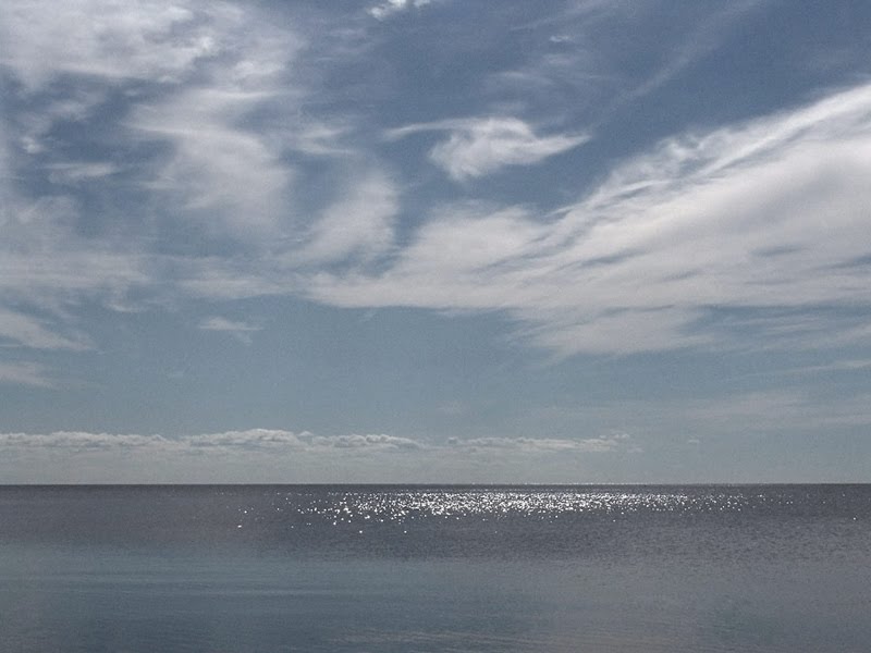 Липин бор белое озеро фото Липин бор белое озеро фото