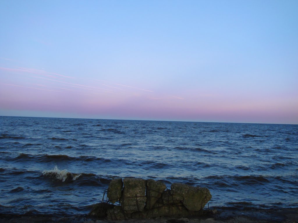 Липин бор белое озеро фото Липин бор белое озеро фото