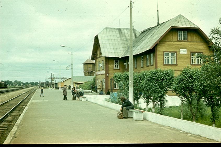 станция Сухона, Сокол