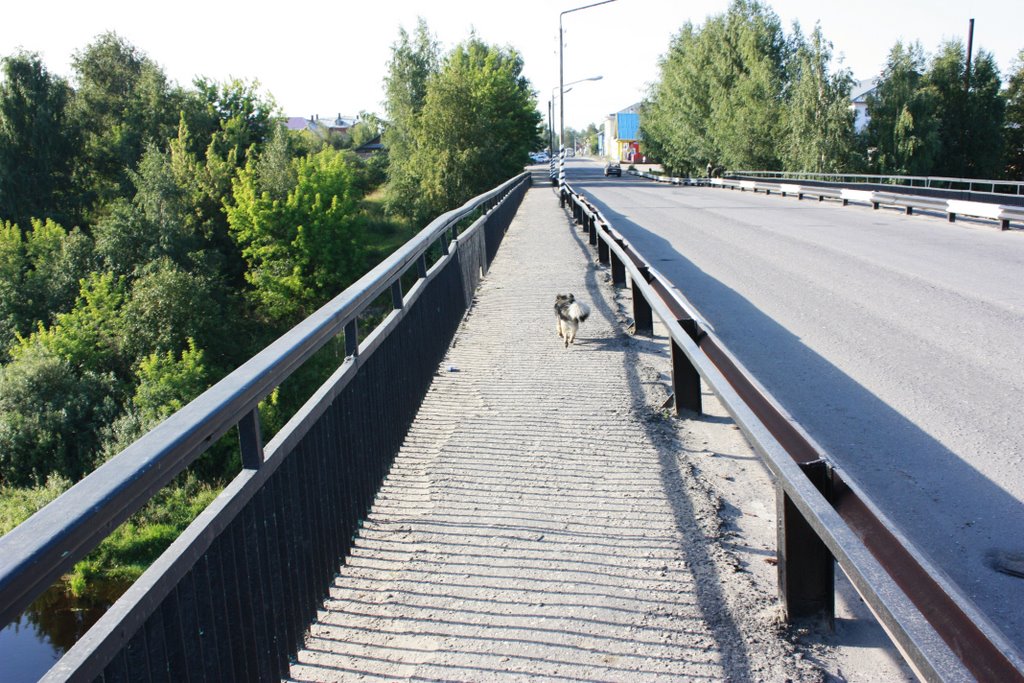 мост в г.Устюжна через р.Молога вид в сторону Автовокзала, Устюжна