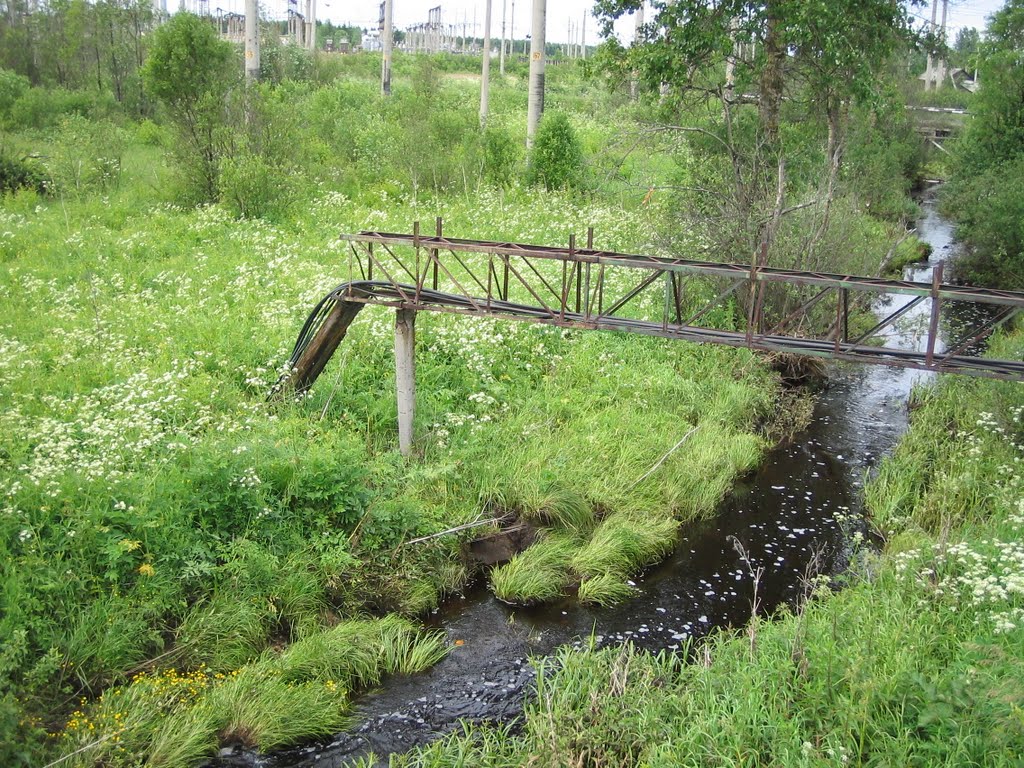 ручей к западу, Харовск