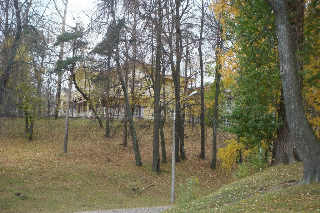 Old manor (Музей «Дом И. А. Милютина»), Череповец
