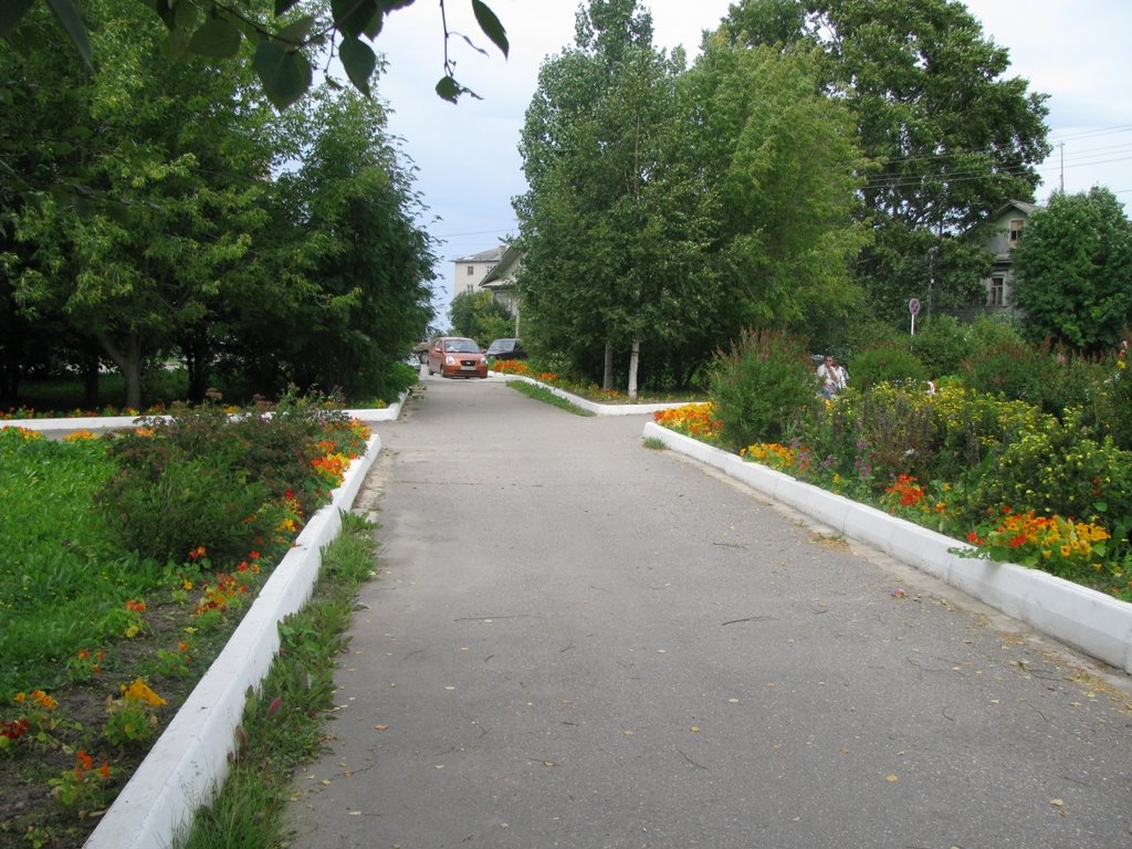Скверик(garden), Шексна
