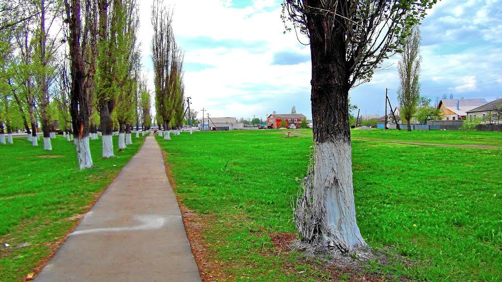 Часть 16. Анна - Вичуга - Москва - Россия - LiveJournal