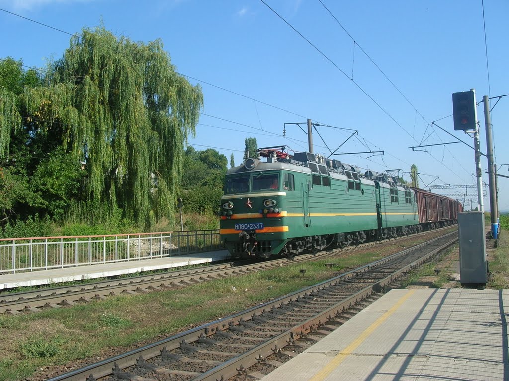 поезд у пл. 210 км, лето 2008, Бобров