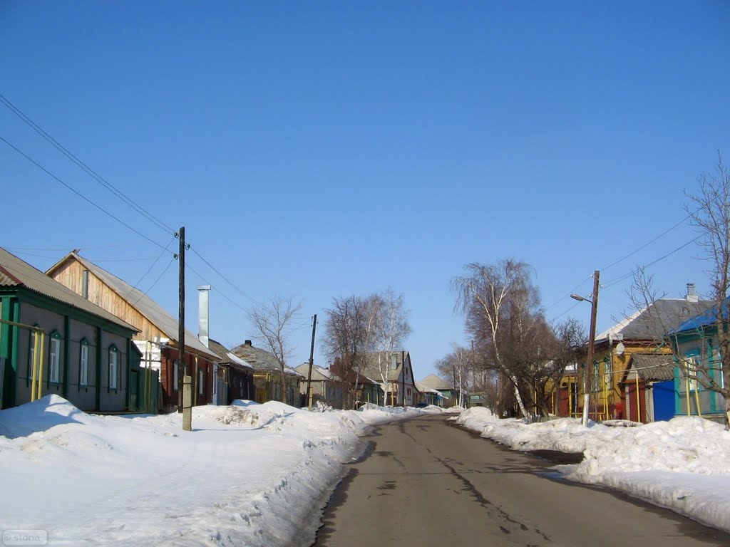 Bobrov. Voronezh Region, Бобров