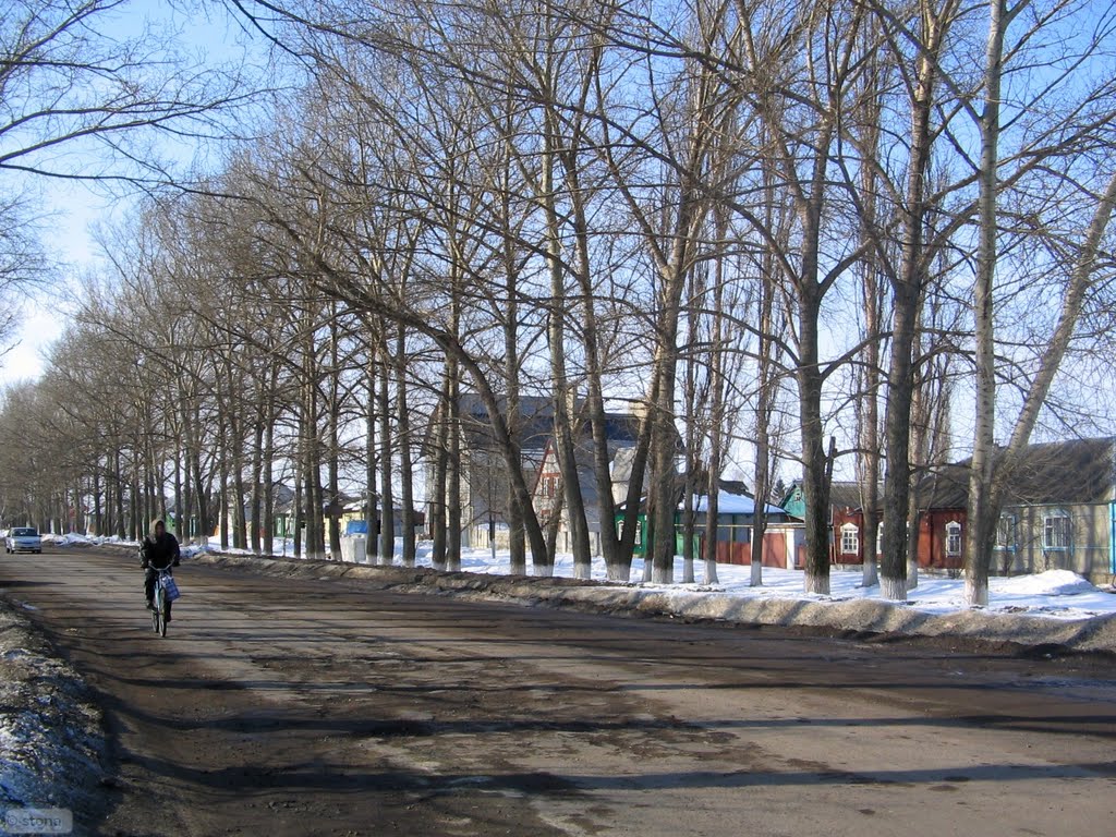 Bobrov. Voronezh Region. Russia, Бобров