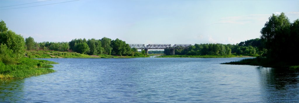 р. Ворона, Борисоглебск