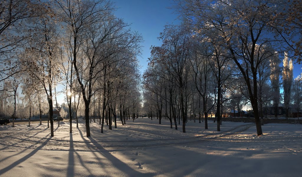 сквер зимой, Борисоглебск