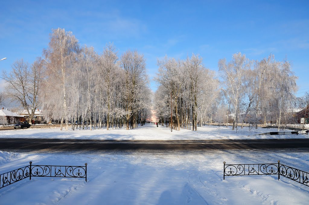 аллея зимой, Борисоглебск