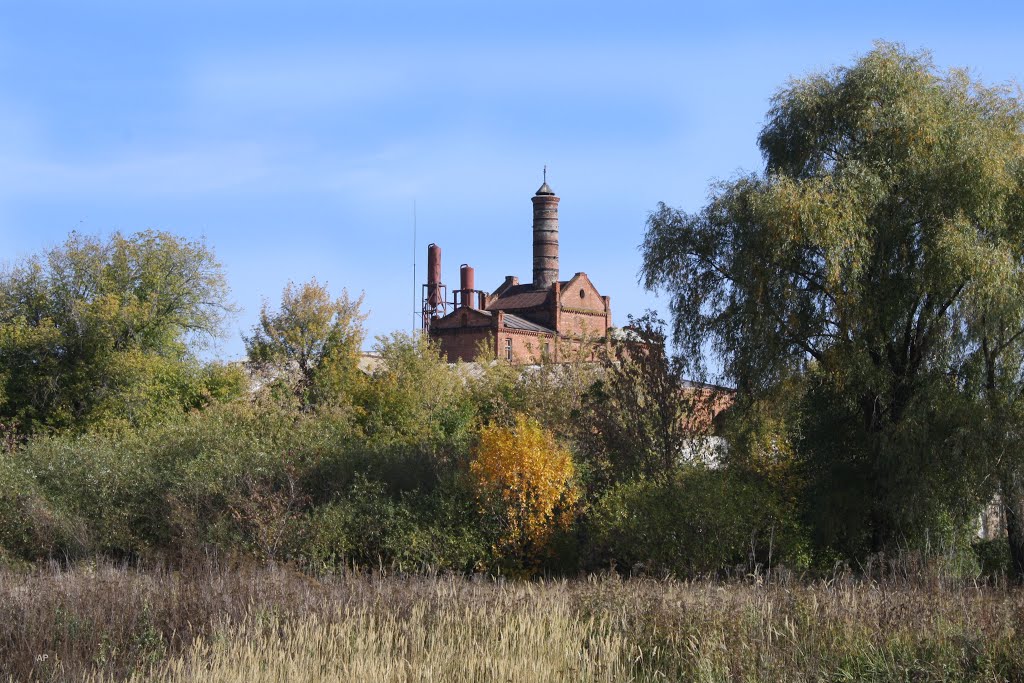 Старый завод, Борисоглебск