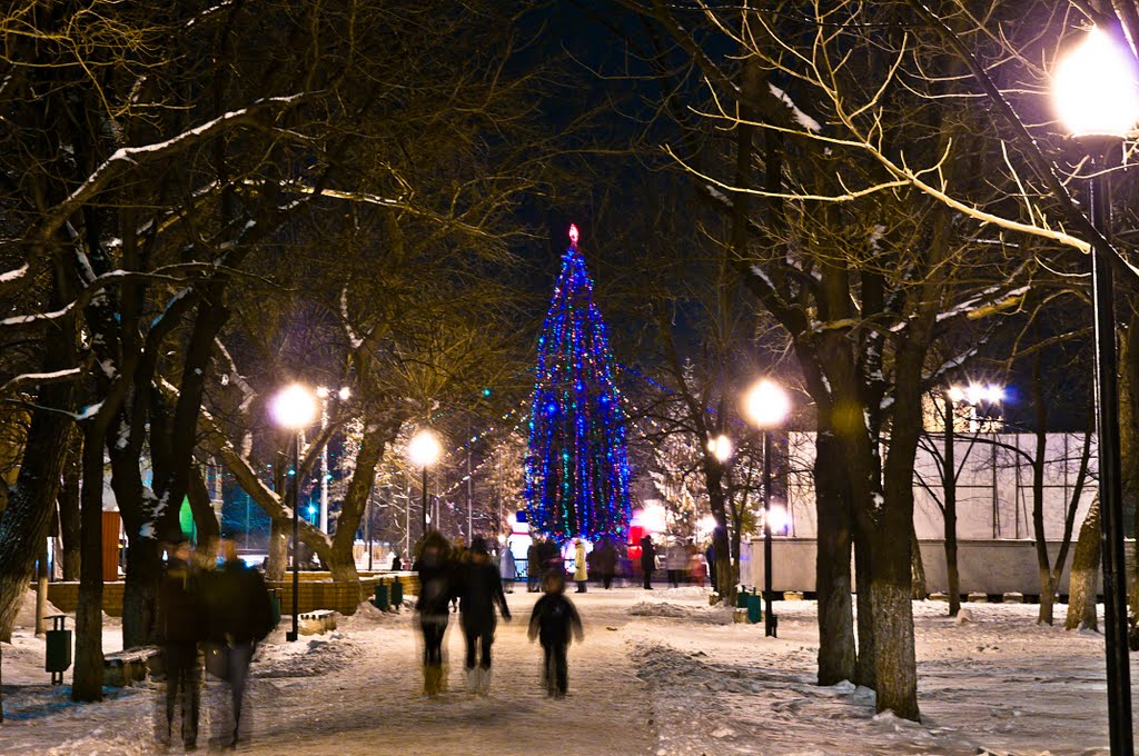 зимой в аллее, Борисоглебск