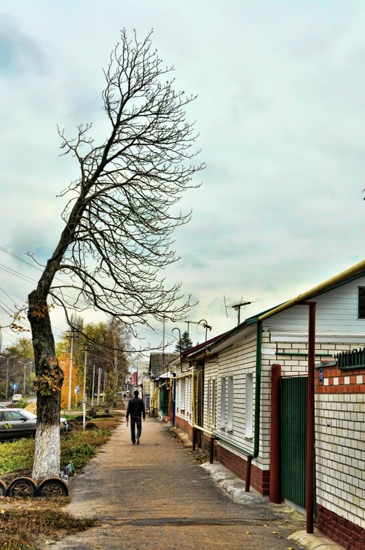 Man and tree, Борисоглебск