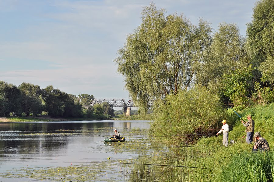 Рыбаки №2, Борисоглебск