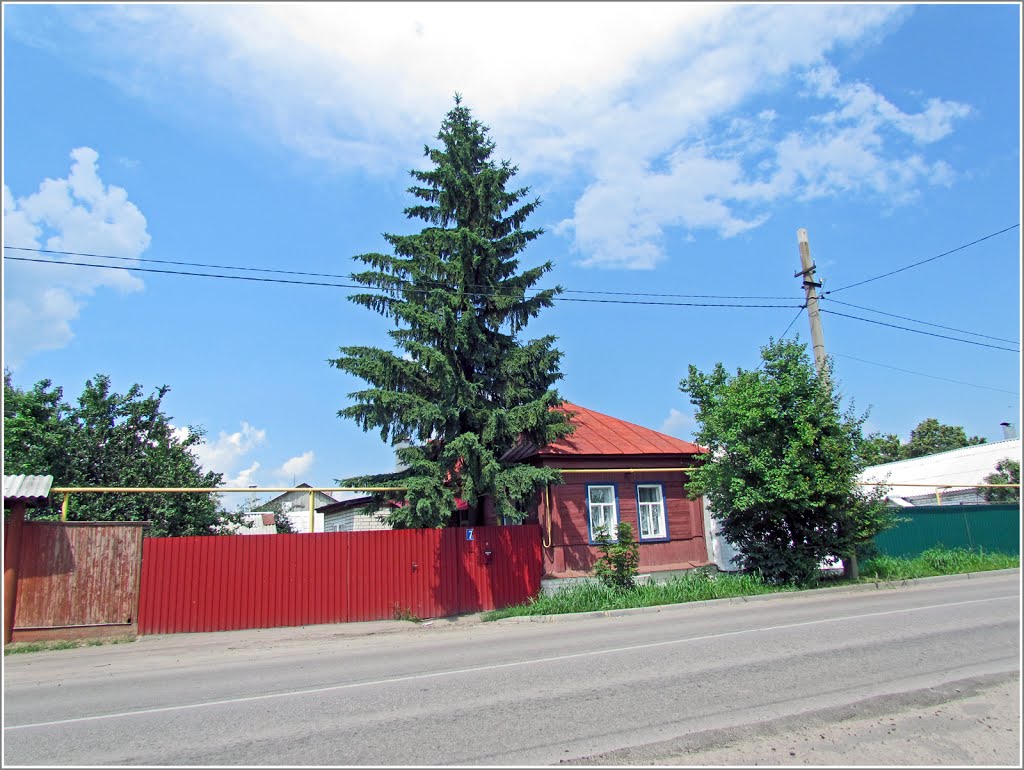 Скромный домик Борисоглебска, Борисоглебск
