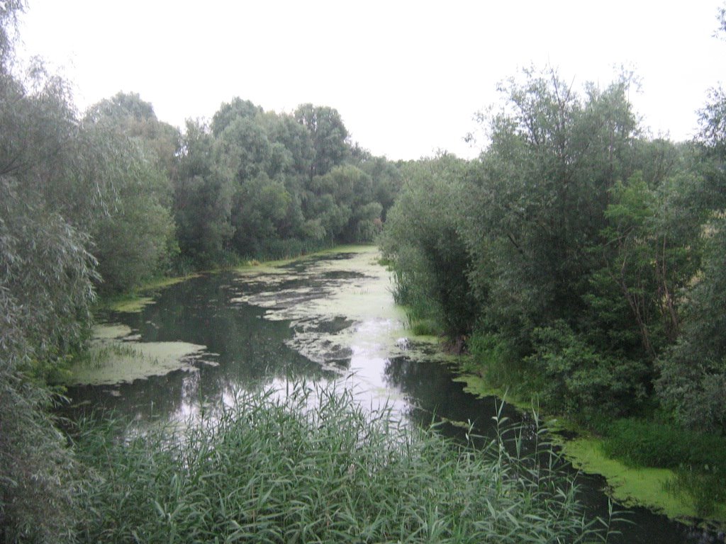 Река Осередь, Бутурлиновка
