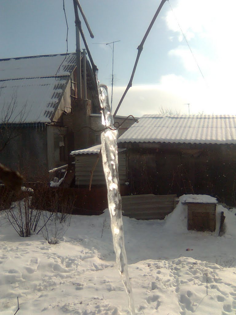 Сосулька на виноградной лозе, Бутурлиновка