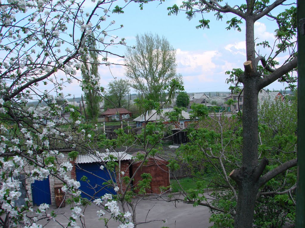 Вид из окна, Бутурлиновка