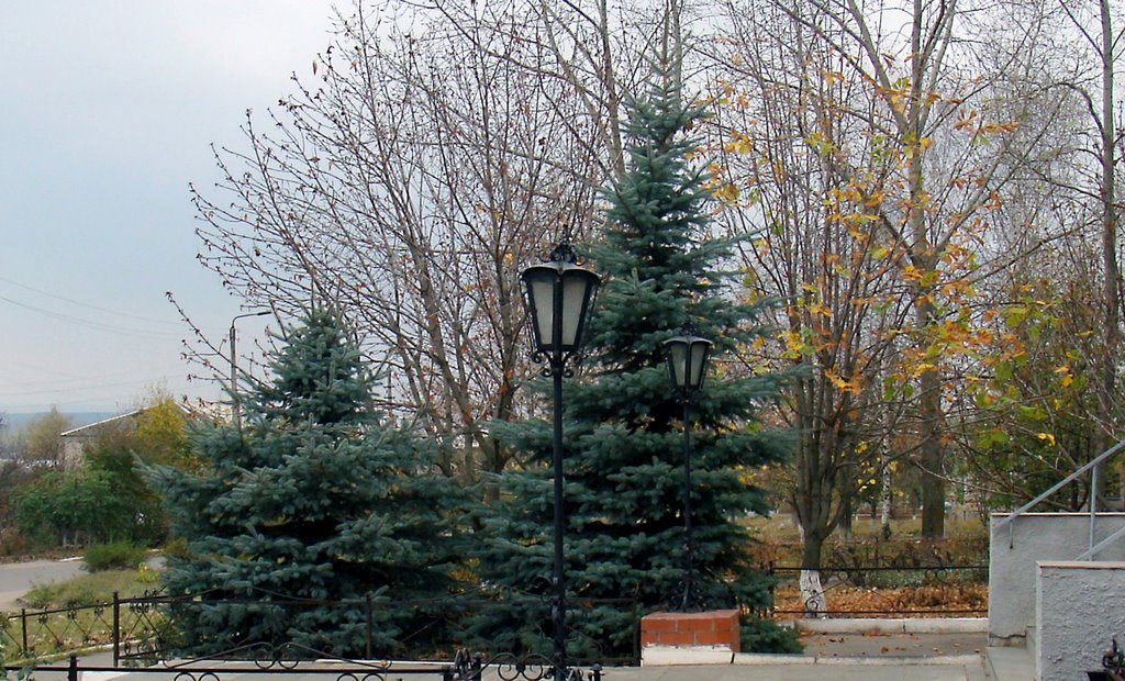 Верхний мамон фото Верхний мамон фото