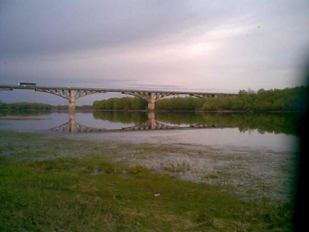 Верхний мамон фото Верхний мамон фото