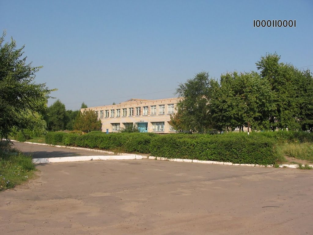 Верхний мамон фото Верхний мамон фото