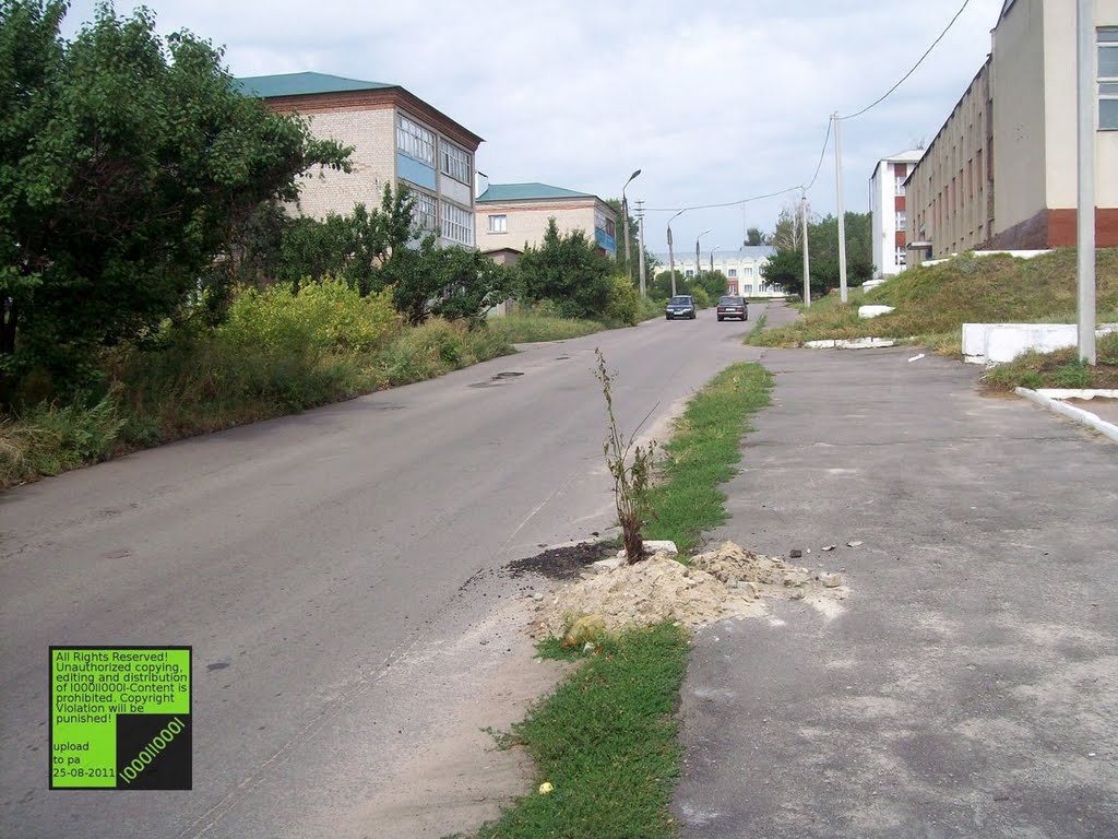 Верхний мамон фото Верхний мамон фото