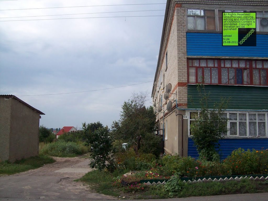 Верхний мамон фото Верхний мамон фото