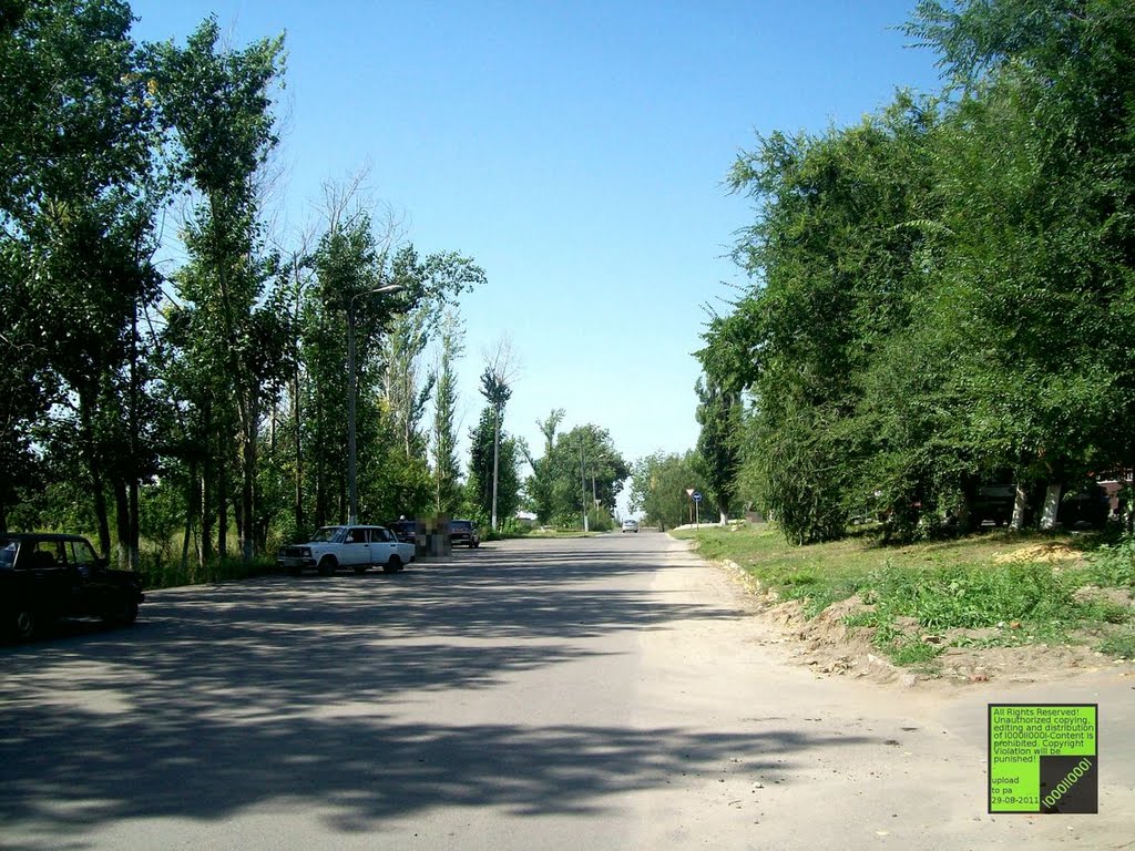 Верхний мамон фото Верхний мамон фото