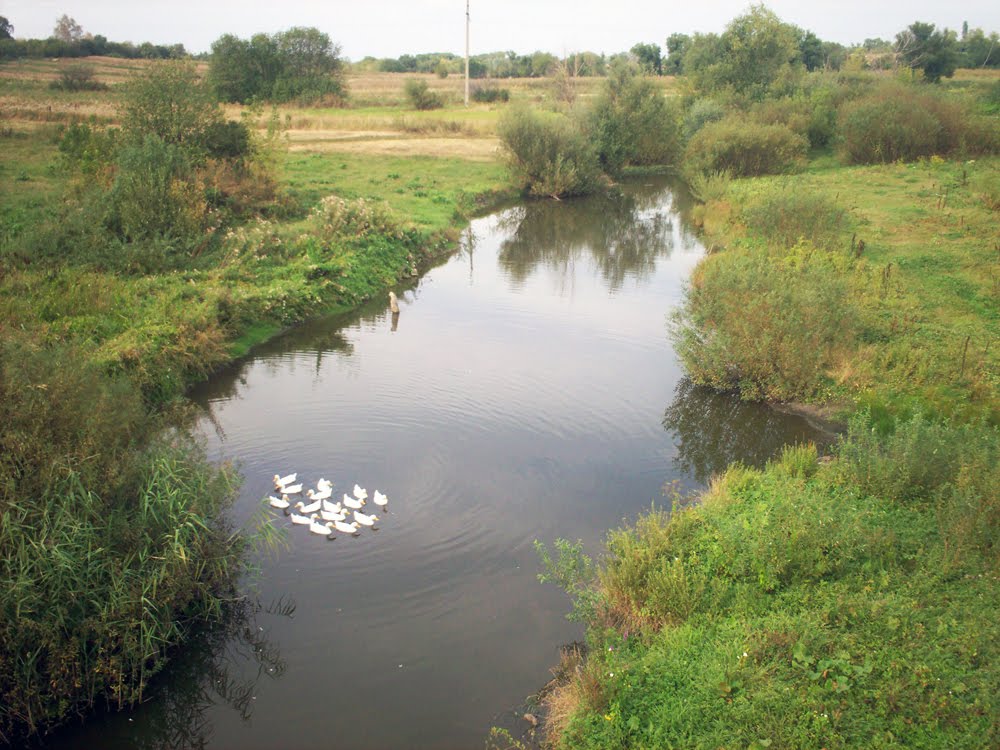 Верхняя хава воронежская область фото Верхняя хава воронежская область фото
