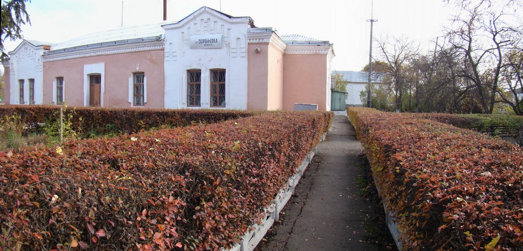 станция Воробьёвка, Воробьевка