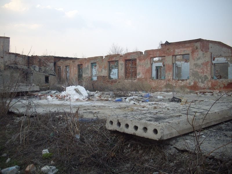 Развалины Березовского Сыродельного Завода 2010 год, Воробьевка