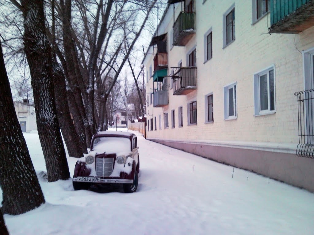 Снежная зима 2010 в Лисках, Лиски