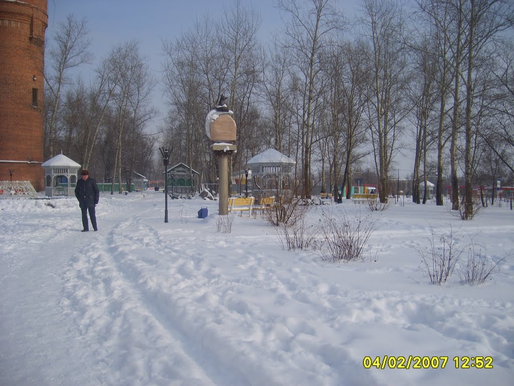 Зимний парк.Winter park, Лиски