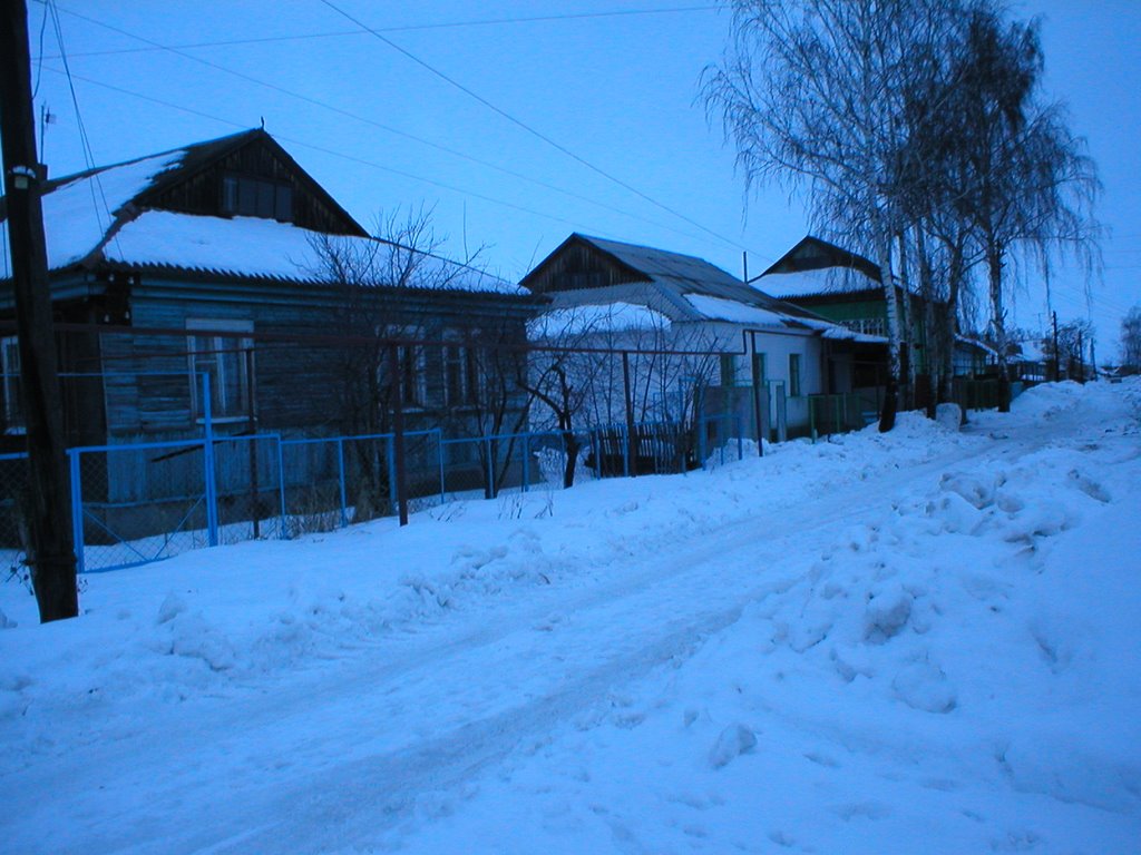 Давыдовка, Февраль 2004, Давыдовка