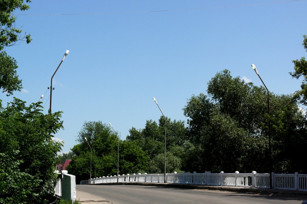 Городской мост через речку Толучеевка, Калач