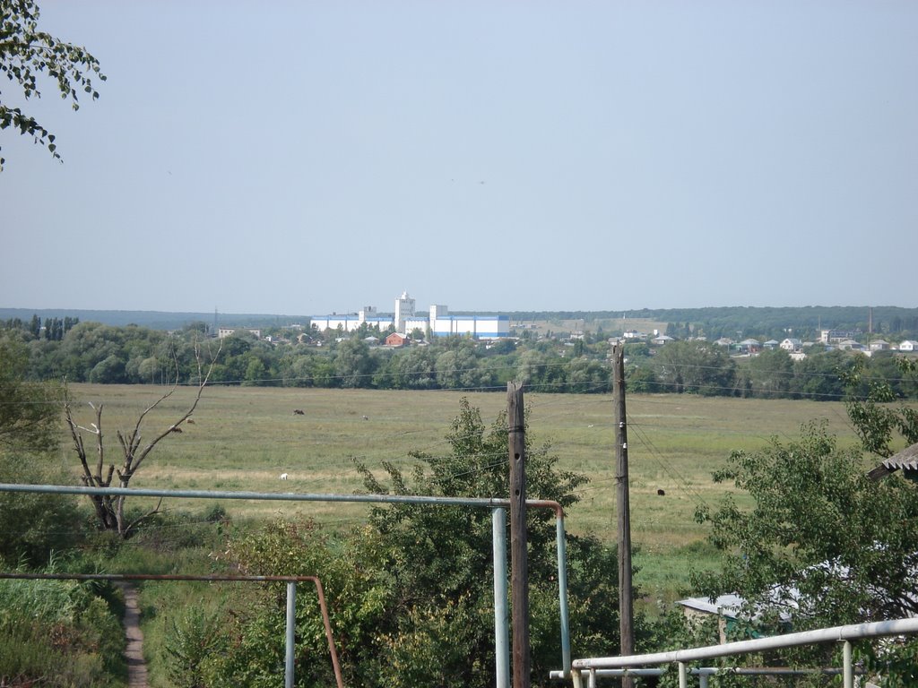 Вид на луг с ул. Советская, Калач