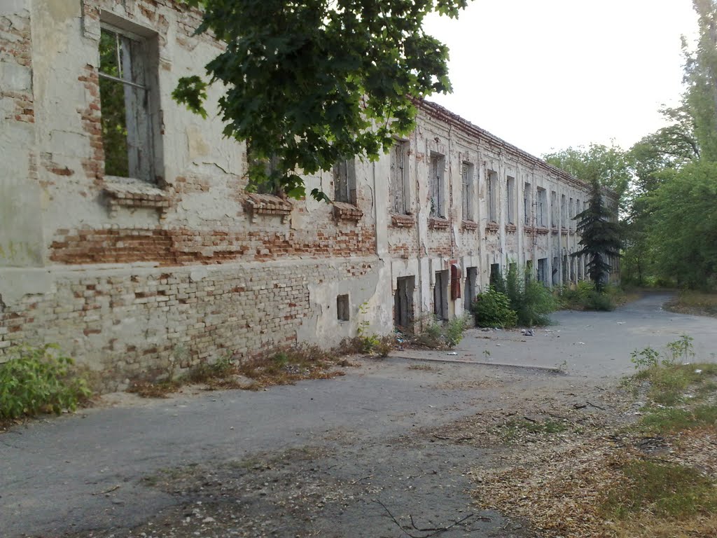 Старая больница, Нижнедевицк