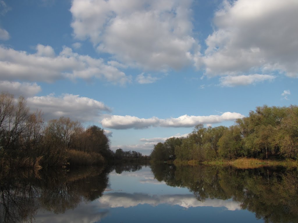 Новая усмань воронежская область фото Новая усмань воронежская область фото