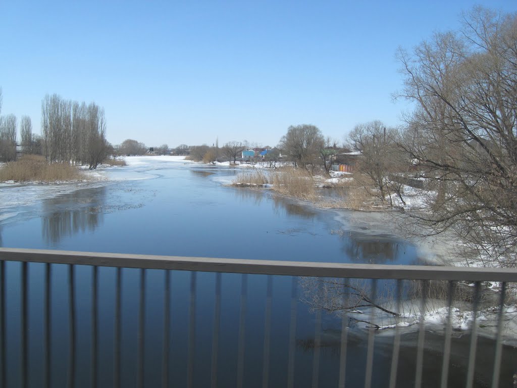 население - Новая Усмань Сегодня - Последние новости Новоусманского района Ворон