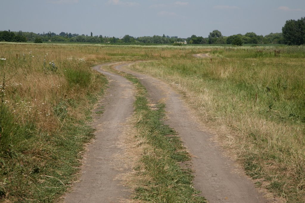 По дороге к реке Тихая Сосна, Острогожск